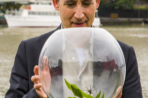 Professor Brian Greene and his namesake spider