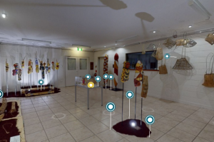 Girringun Aboriginal Art Centre opens new virtual gallery 