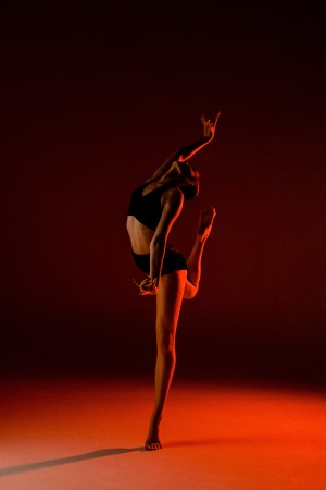 Wild Card. Image of Dancer Alexis McLean. Photo by Pointe Shoot Love Photography.